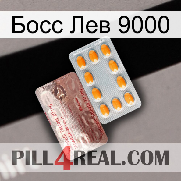 Босс Лев 9000 new13.jpg